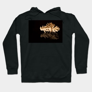 Corals and seahorse on black reflective background Hoodie